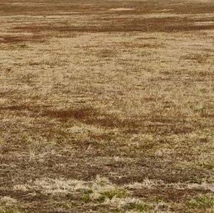 Meet your Posher, Gabriel